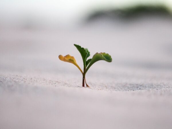 Photo 1 Economic growth 2 Infrastructure development