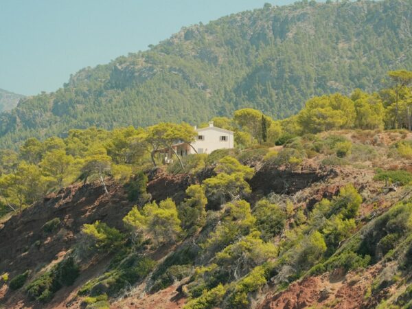 Photo Land surveyors